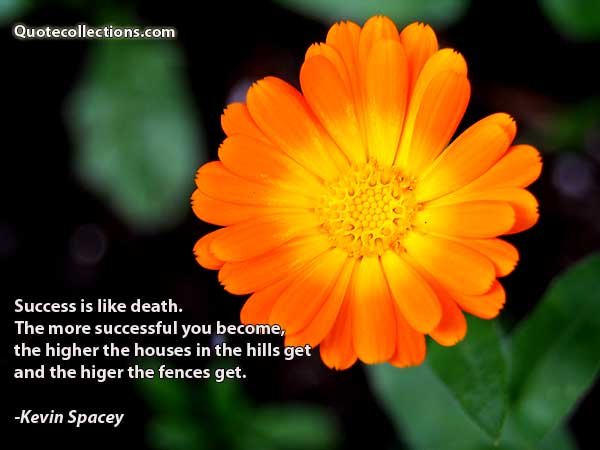 Kevin Spacey Quotes5